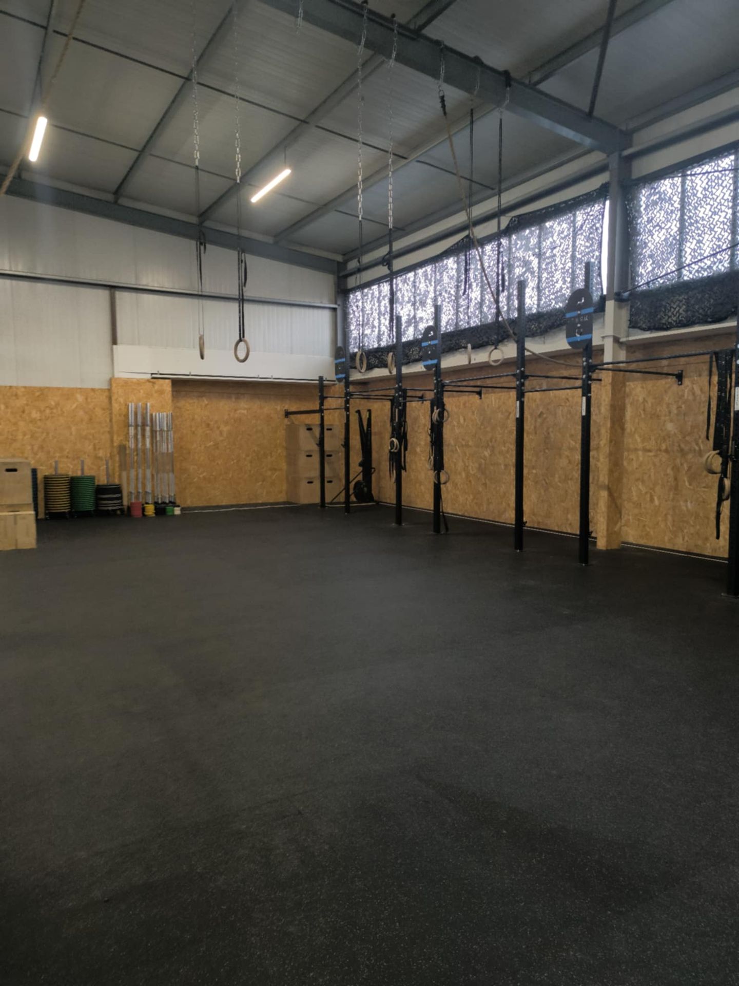 Séance de CrossFit avec rig et anneaux, CrossFit Ocelot